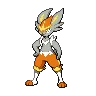 Cinderace variocolor