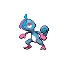 Drizzile variocolor