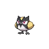 Rookidee variocolor