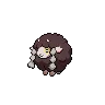 Wooloo variocolor