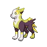 Boltund variocolor