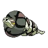 Sandaconda variocolor