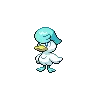 Quaxly variocolor