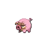Lechonk variocolor