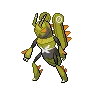 Lokix variocolor