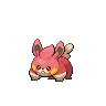 Pawmi variocolor