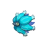 Glimmora variocolor