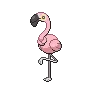 Flamigo variocolor