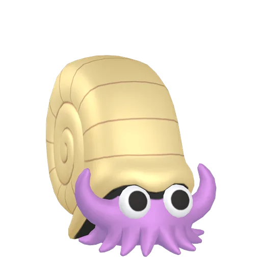 Omanyte variocolor