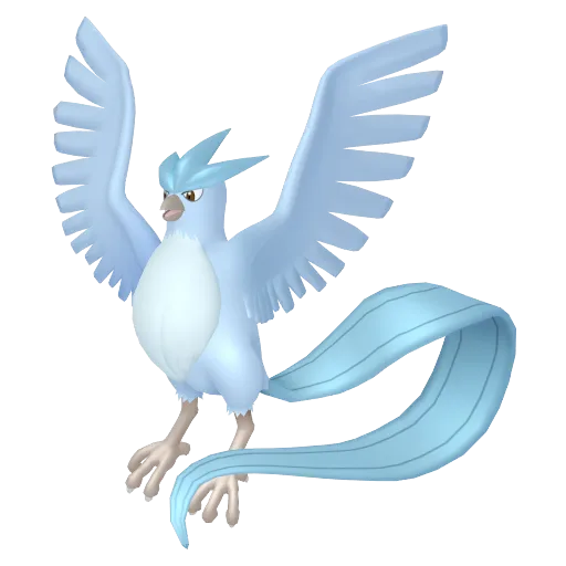 Articuno variocolor