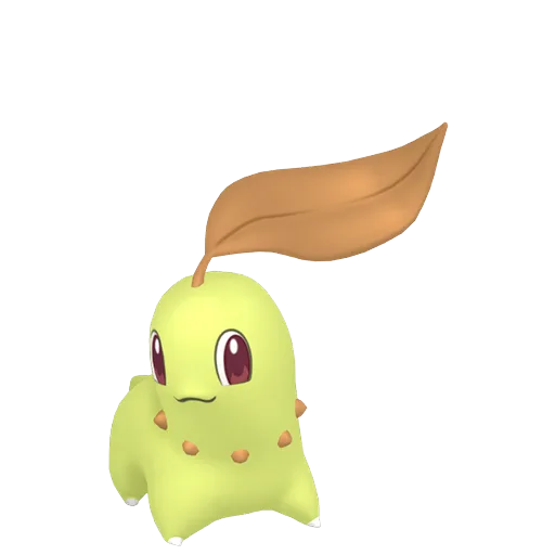 Chikorita variocolor