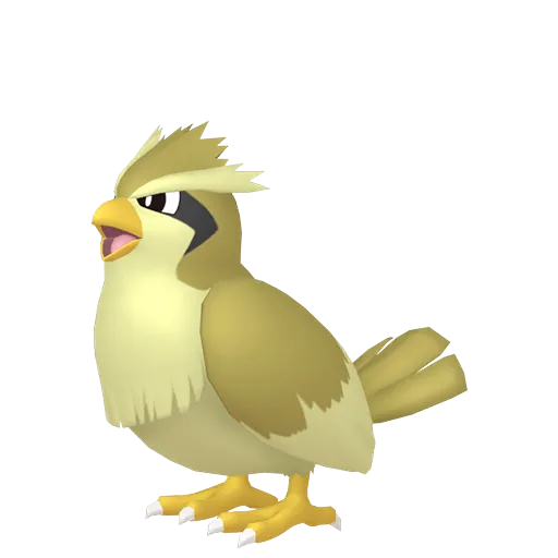 Pidgey variocolor
