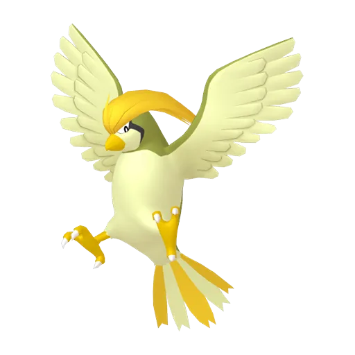 Pidgeotto variocolor