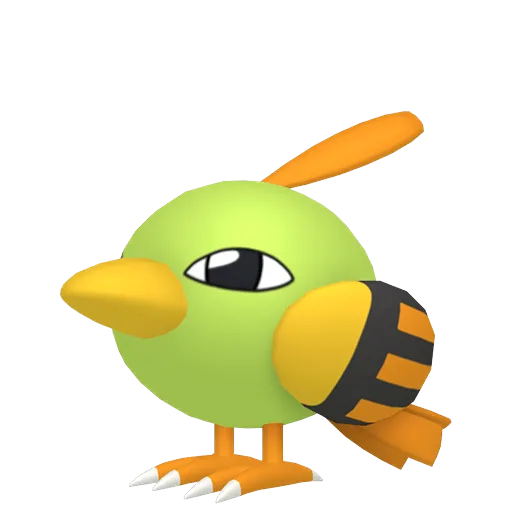 Natu variocolor