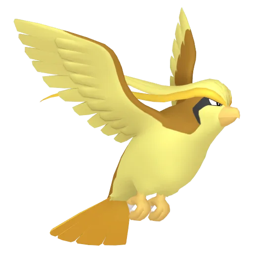 Pidgeot variocolor
