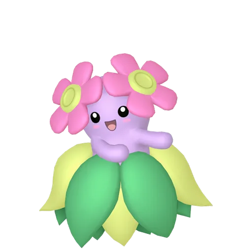 Bellossom variocolor