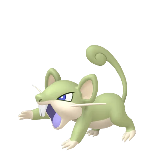 Rattata variocolor