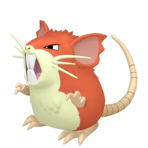 Raticate variocolor