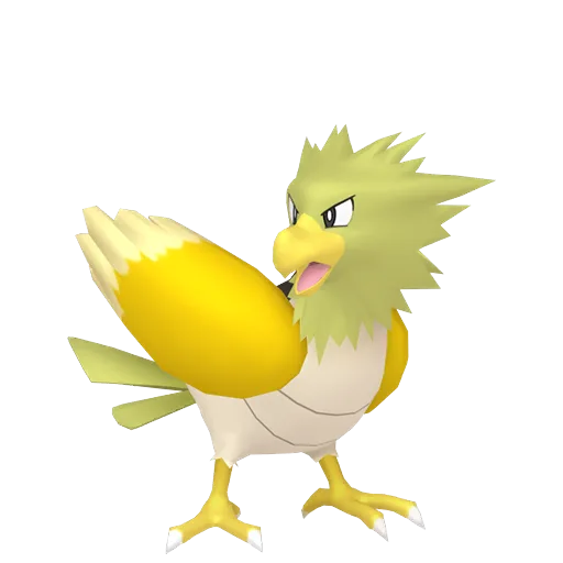 Spearow variocolor