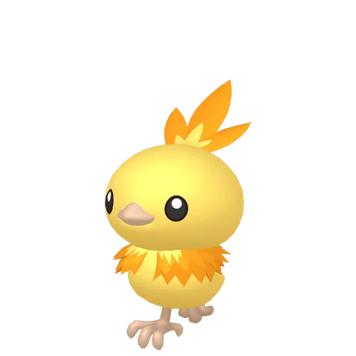 Torchic variocolor