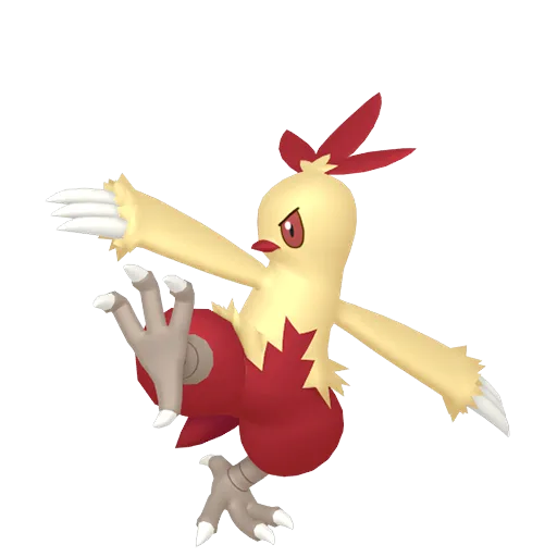 Combusken variocolor