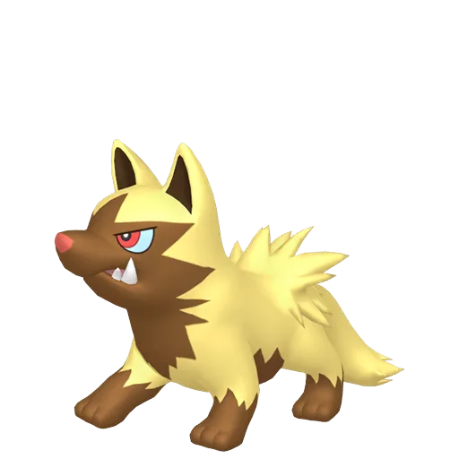 Poochyena variocolor