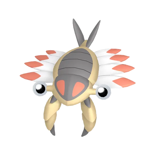Anorith variocolor
