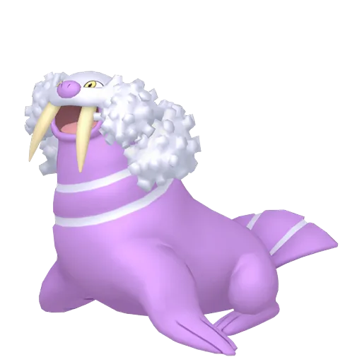 Walrein variocolor
