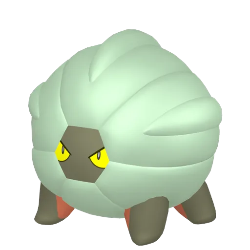 Shelgon variocolor