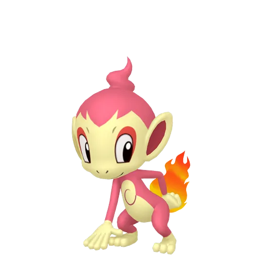 Chimchar variocolor