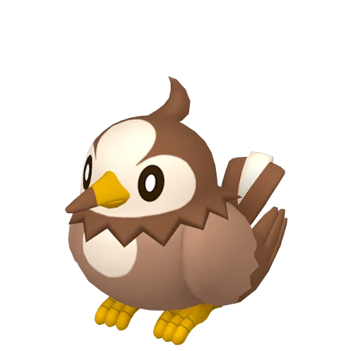Starly variocolor