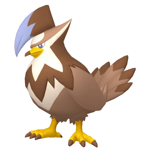 Staraptor variocolor