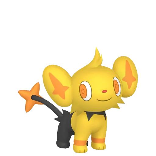 Shinx variocolor