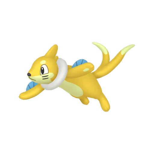 Buizel variocolor