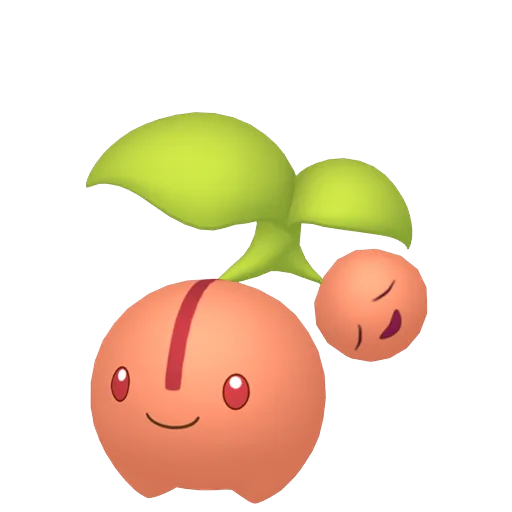 Cherubi variocolor