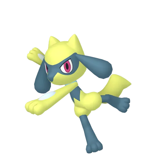 Riolu variocolor