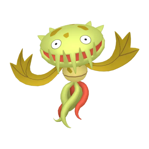 Carnivine variocolor