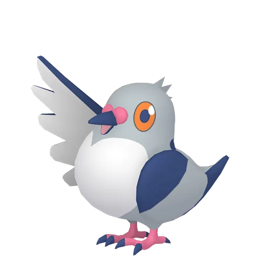 Pidove variocolor