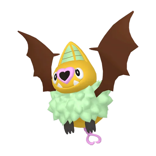 Swoobat variocolor