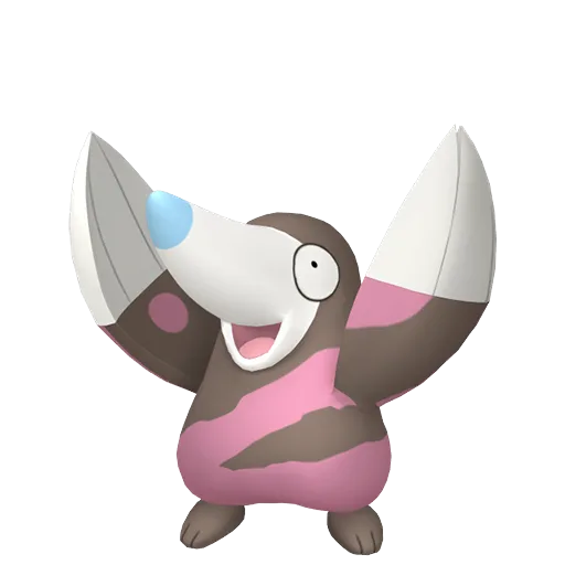 Drilbur variocolor