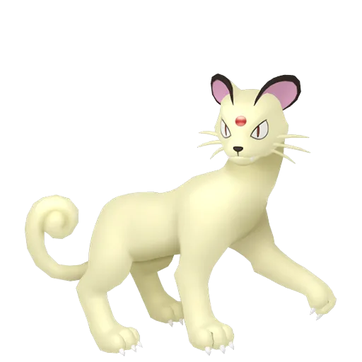Persian variocolor