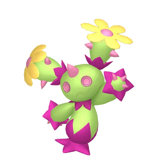 Maractus variocolor