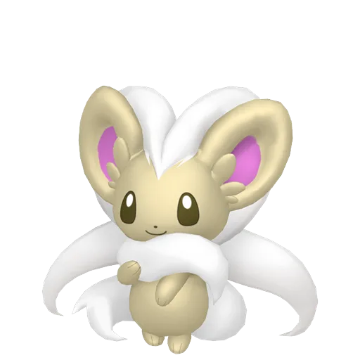 Cinccino variocolor