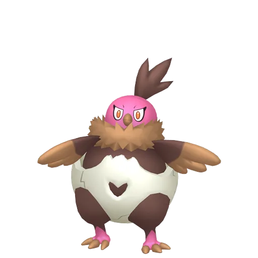 Vullaby variocolor