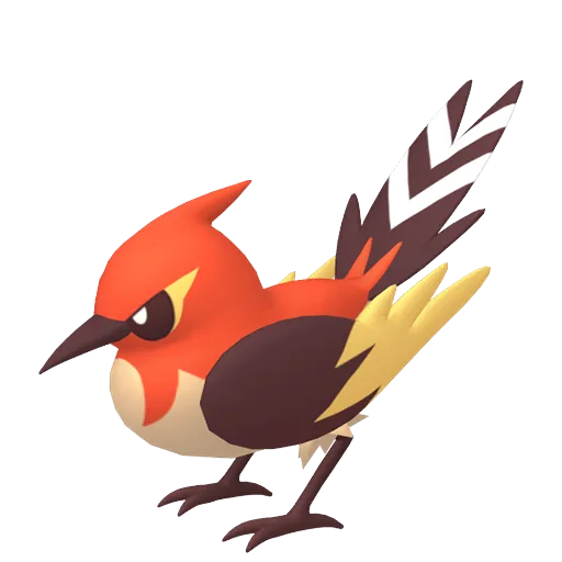 Fletchinder variocolor