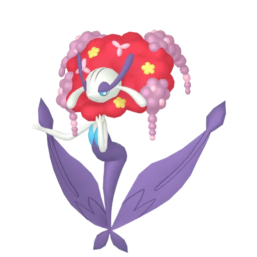 Florges variocolor