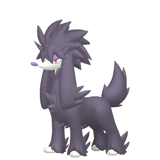 Furfrou variocolor