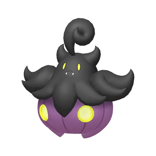 Pumpkaboo-average variocolor