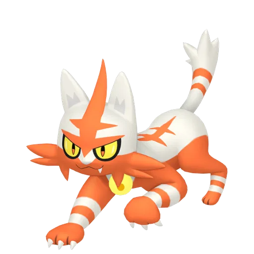 Torracat variocolor
