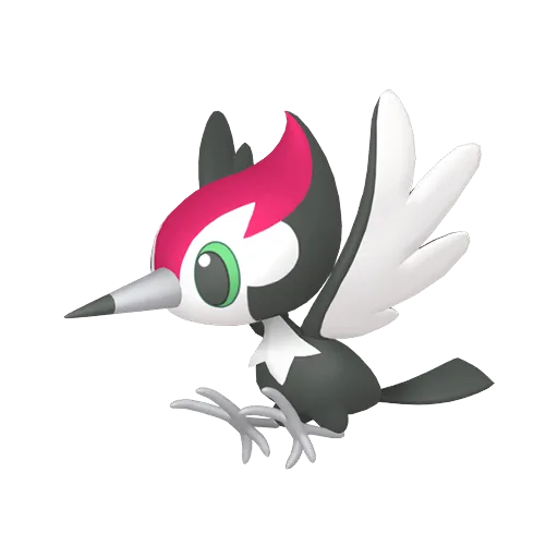 Pikipek variocolor